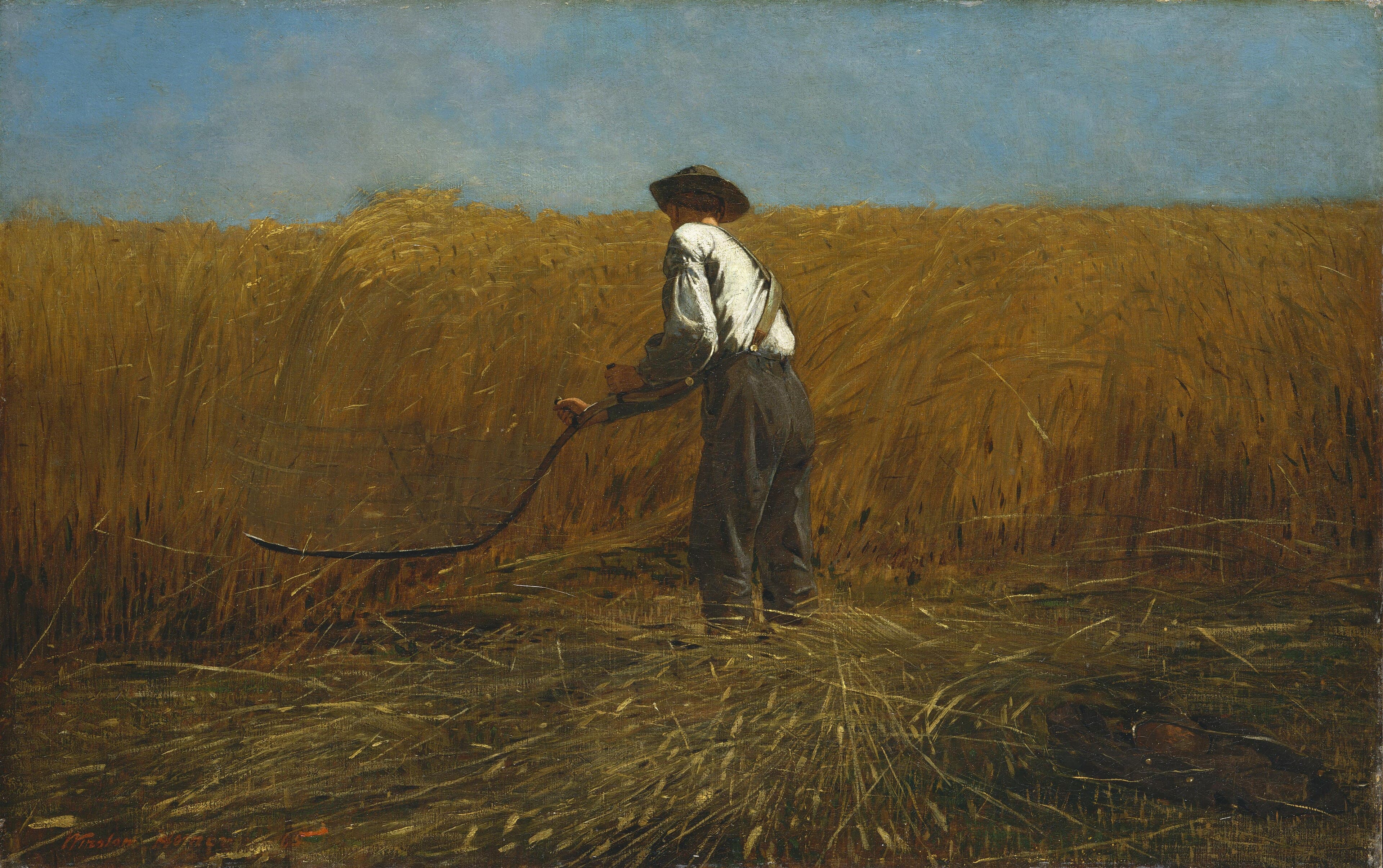 The Veteran in the Wheat